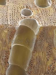 images (3)